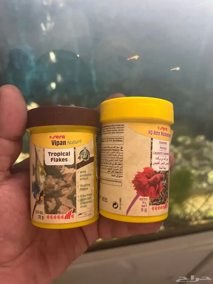 حوض سمك نهري 5