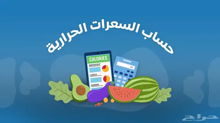 برنامج غذائي صحي محسوب السعرات حسب احتياجك 0