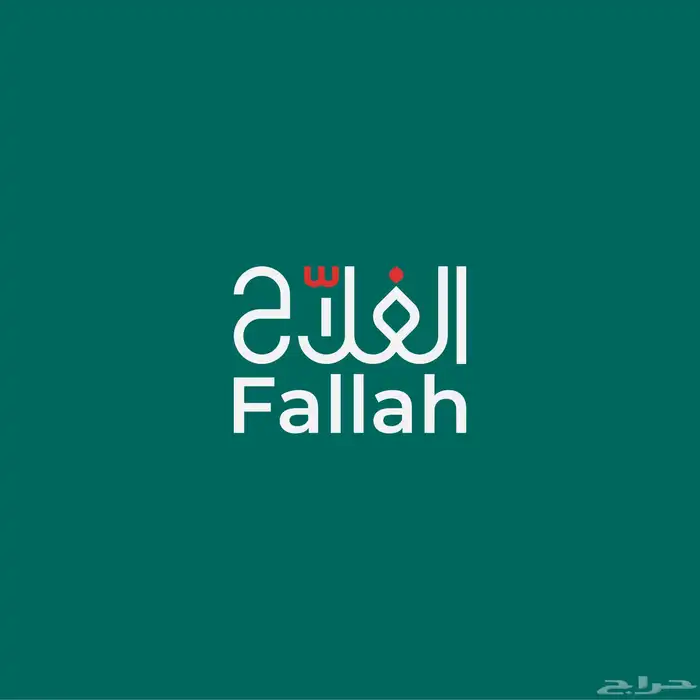 تصميم شعار وهوية 4