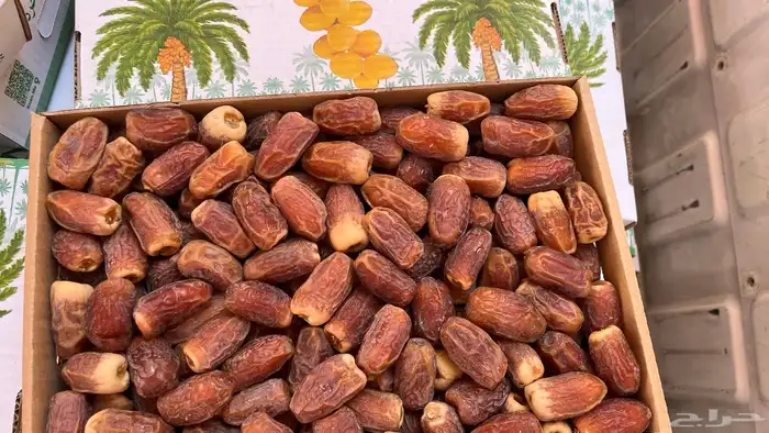 تمر صقعي للبيع 0