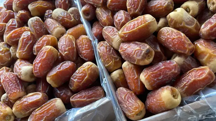 صقعي الدلم 2