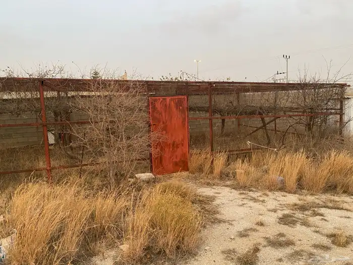 شبك للحلال والطيور والمزارع للبيع 0