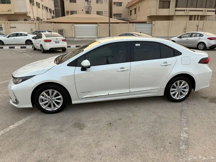 كوريلا 2025 10