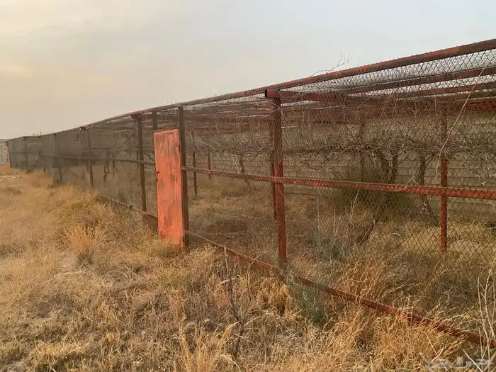 شبك للحلال والطيور والمزارع للبيع 2