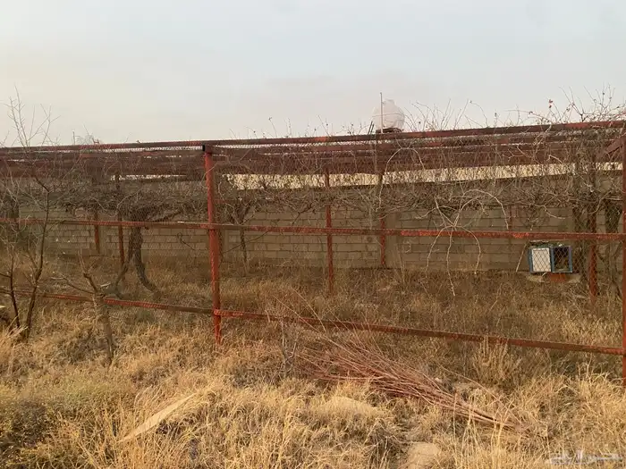 شبك للحلال والطيور والمزارع للبيع 1