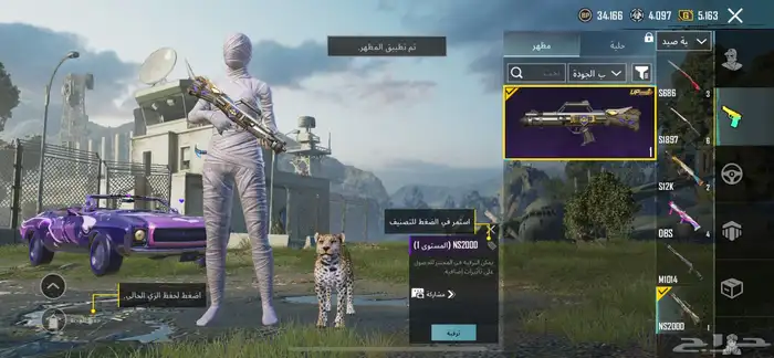 حساب ببجي للبيع 33