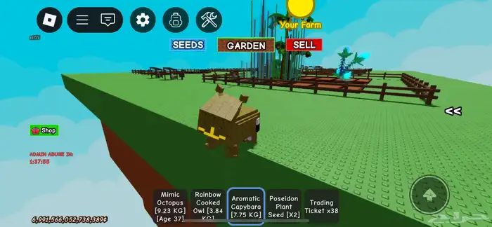 حساب روبلكس 2