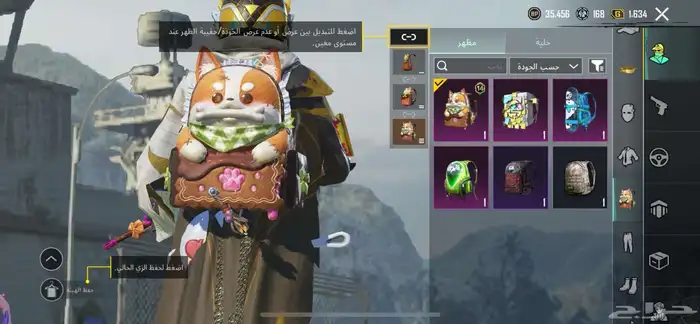 حساب ببجي 13