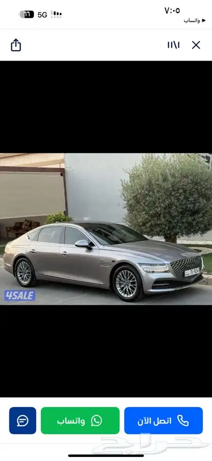 جينسس g80 شبه اصفار 20.23 10