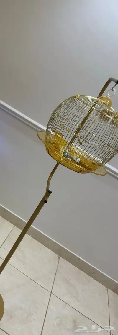 استاند عصافير مع القفص 0