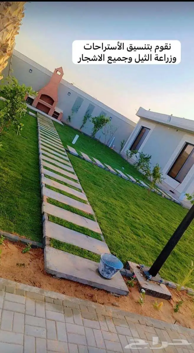 نخل للبيع خلاص مثمره وسكري وبرحي وواشنطن ونوايع أخرى 11