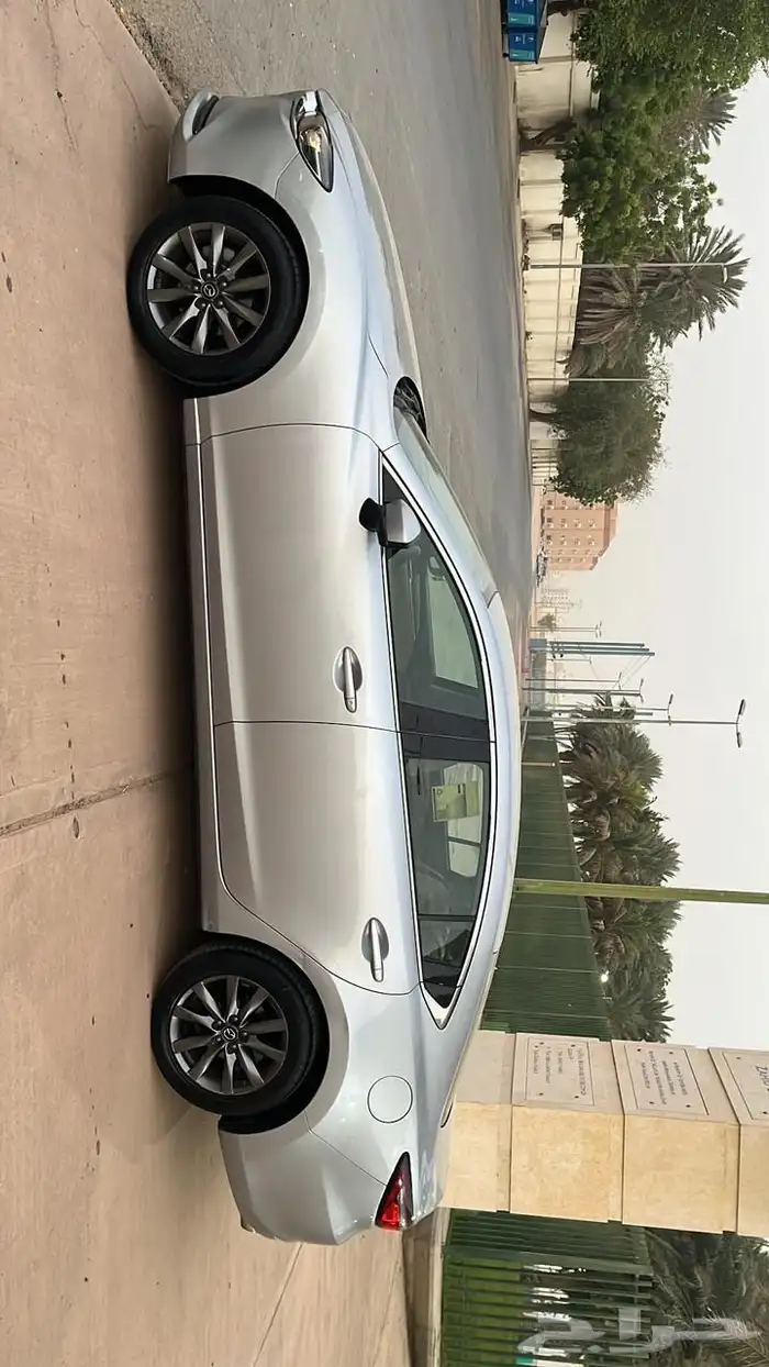 ماردا 6 نص الفل موديل 2019 المالك الثاني 5