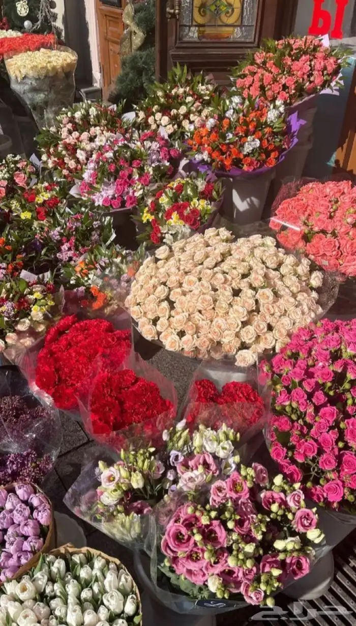 ورود بالجملة 0