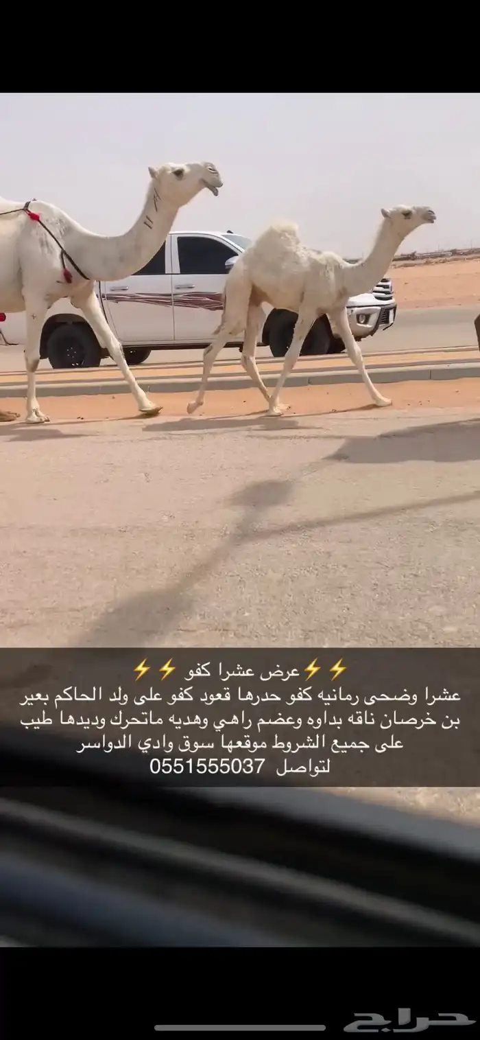 عشرا كفو 2