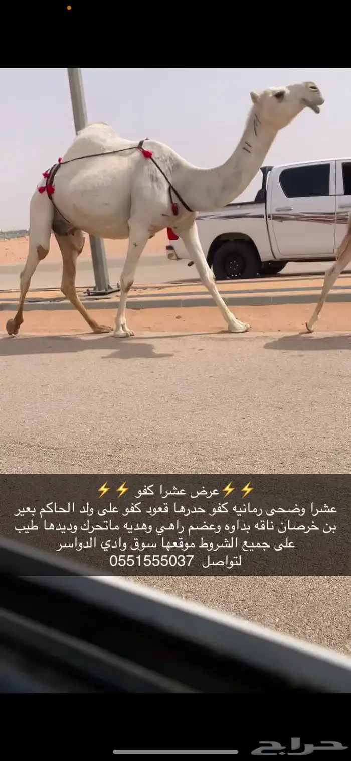 عشرا كفو 0