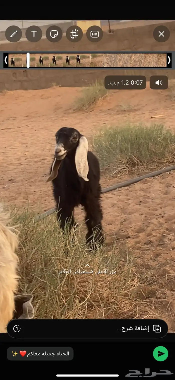 بيع 0