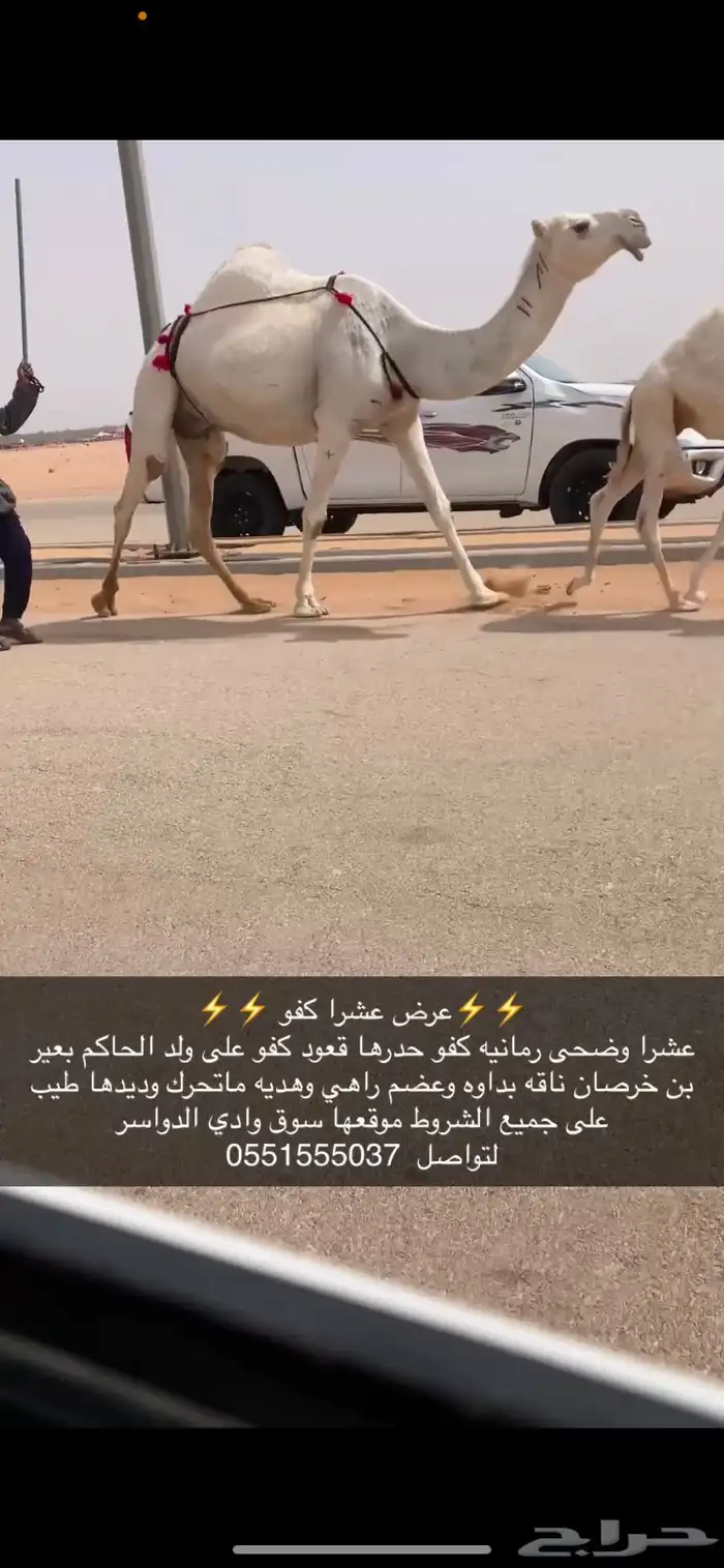 عشرا كفو 1