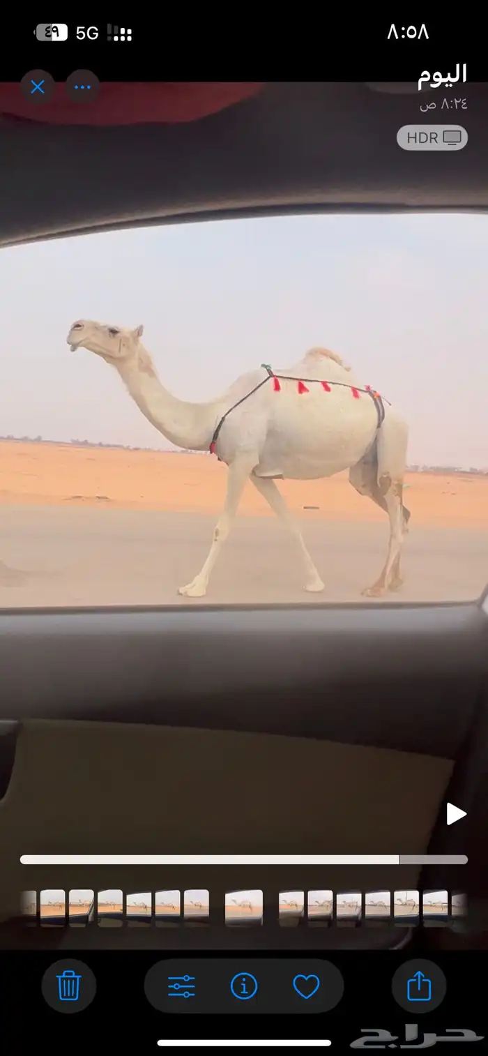 خفوت ضروبه ضريبه وضحا طيبه 3