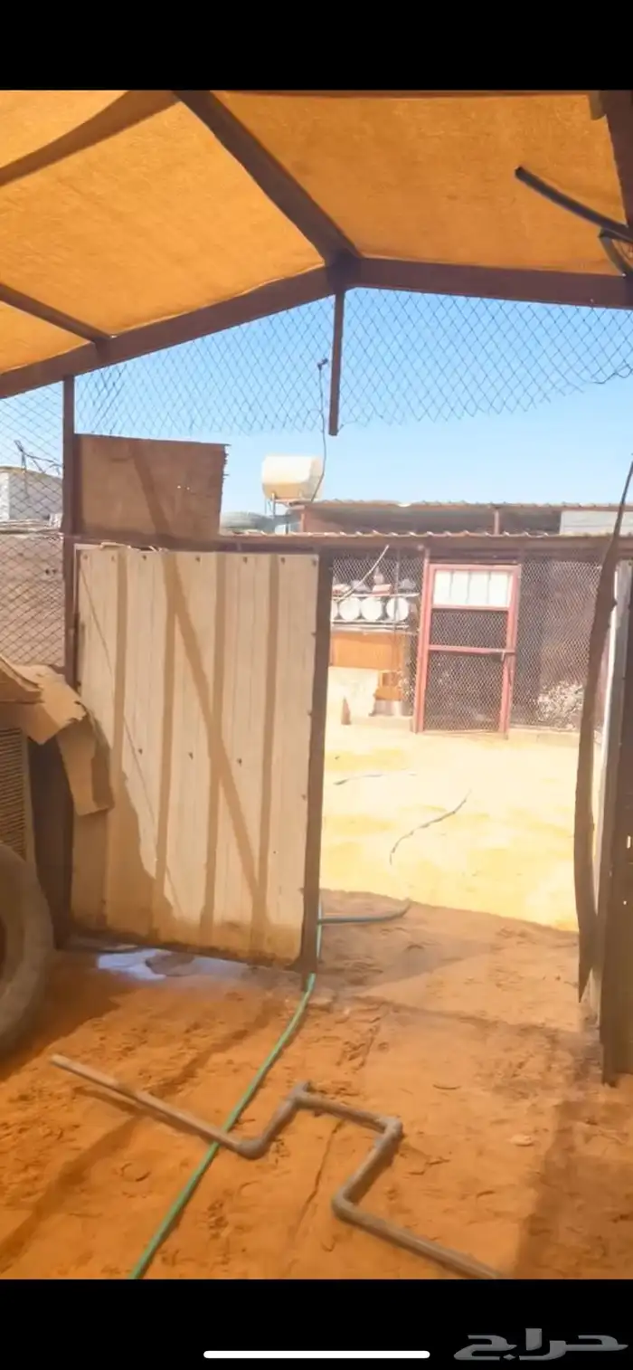 محل طيور ودواجن للبيع 1