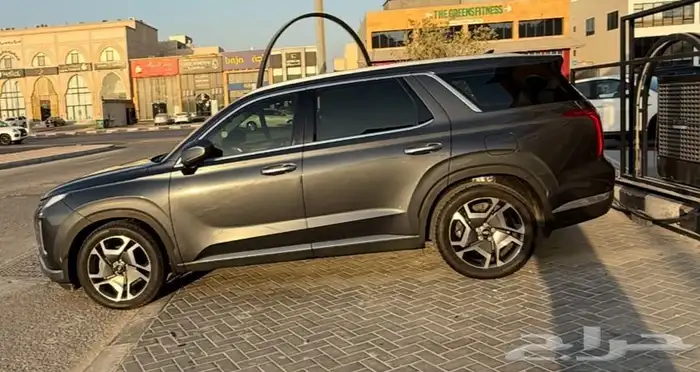 باليسيد هيونداي 1