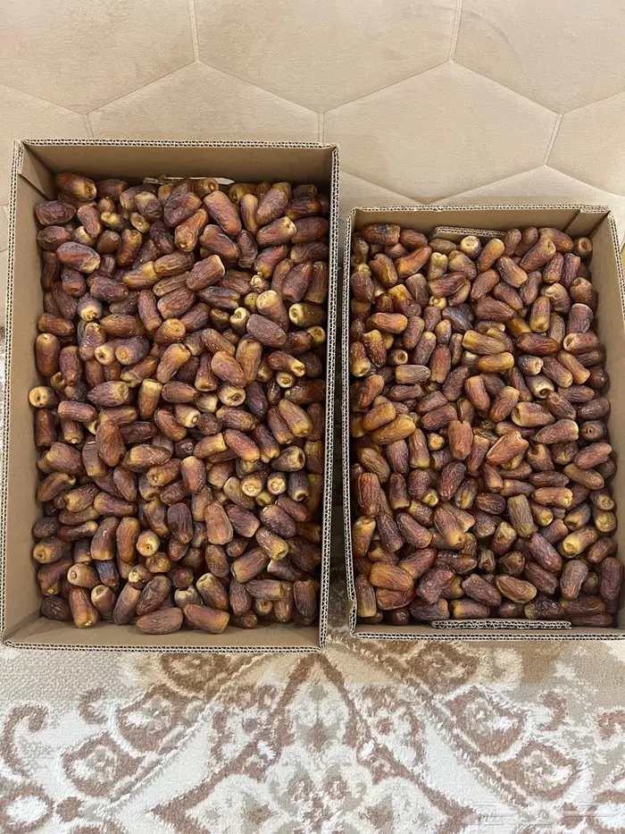 برني فاخر 0