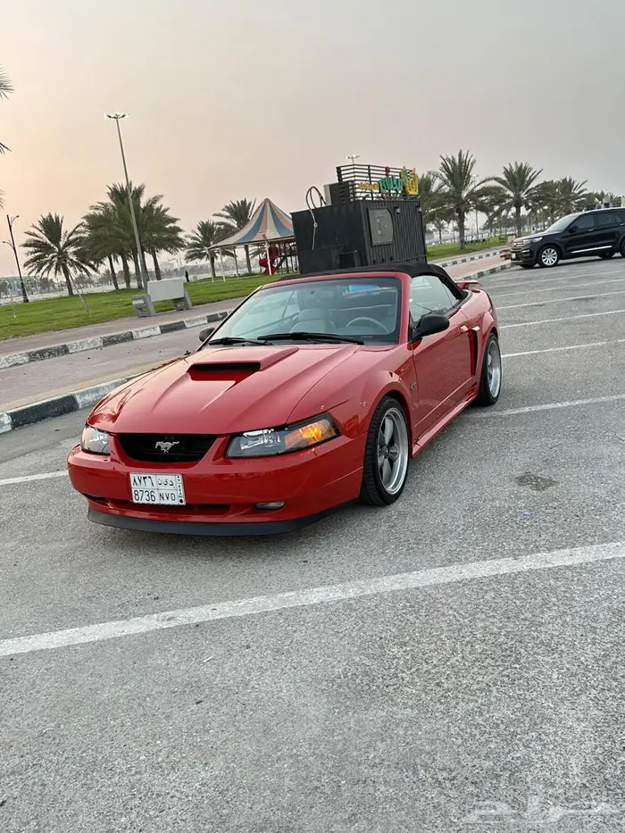 موستنج كشف مديل 2000 8