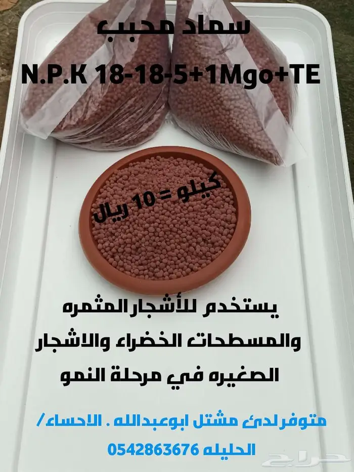 بذور ورقيات وخضروات انتاج الاحساء 1