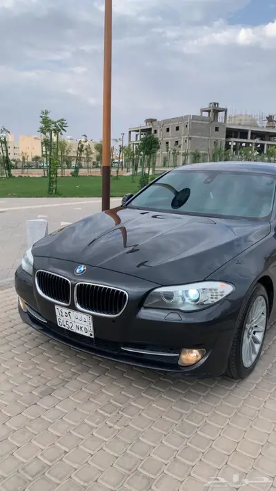 BMW 2011 index