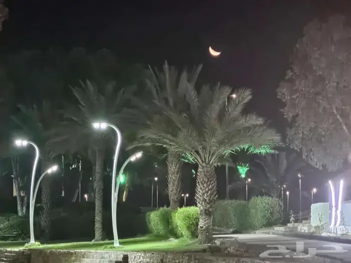 مطلوب سكن عزاب 0