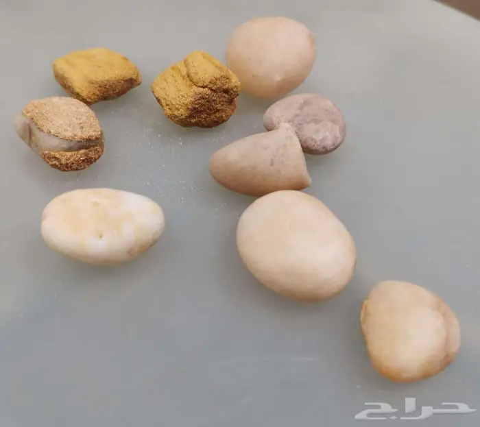للزينة لهواة جمع التشكيلات الصخرية 76