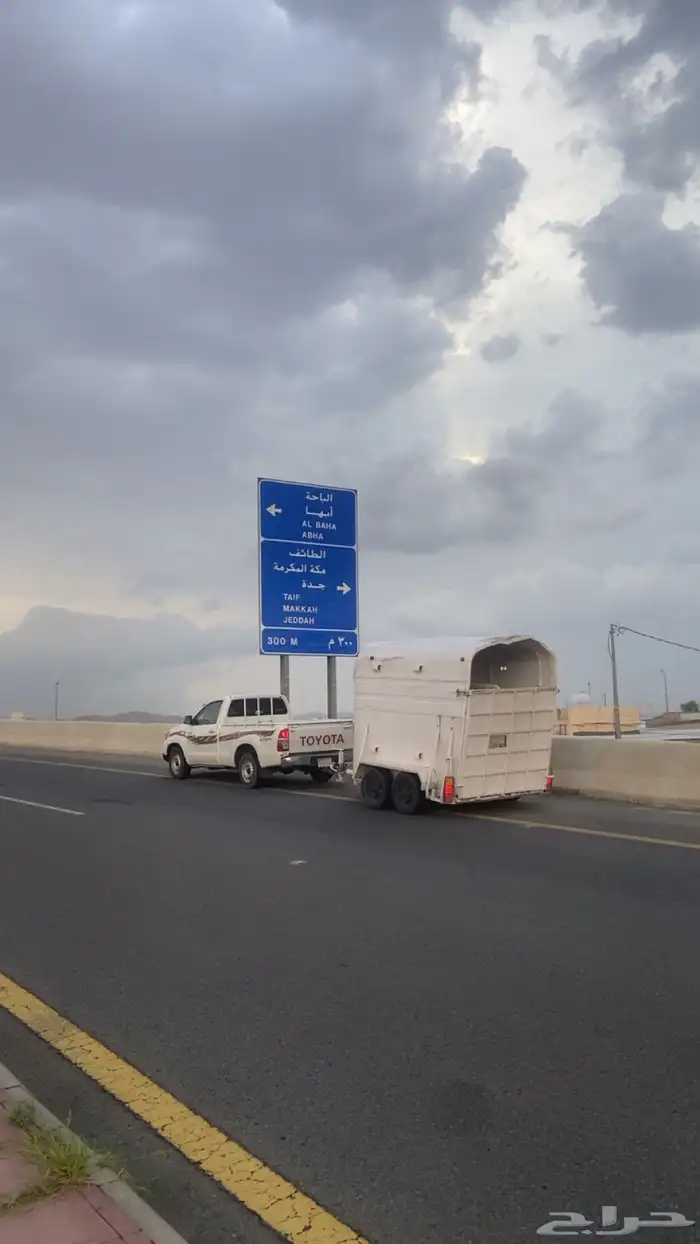 عربه نقل خيل راسين الطايف وضواحيها 0
