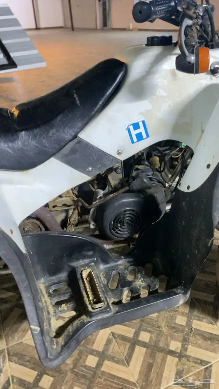 دباب 4