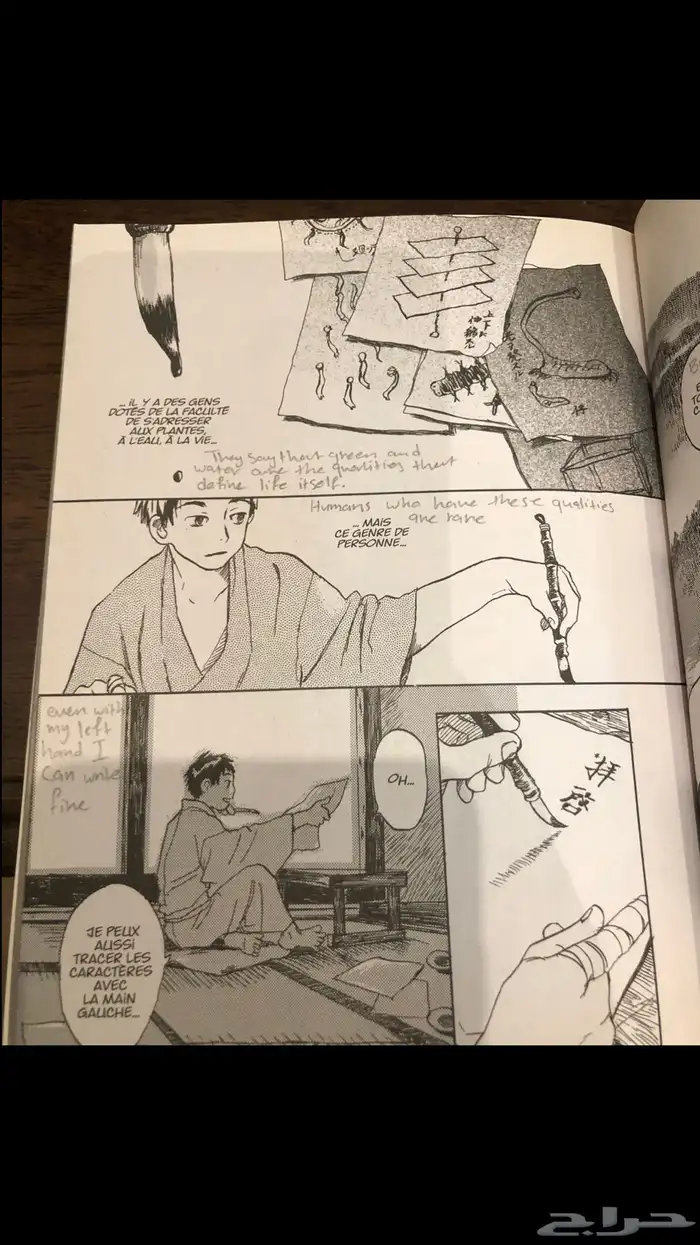 مانجا موشيشي بالفرنسي Manga Mushishi 6
