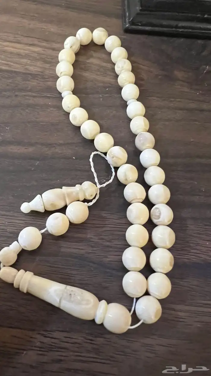 سبحة ناب أسد طبيعي نواعم مشروطه 6