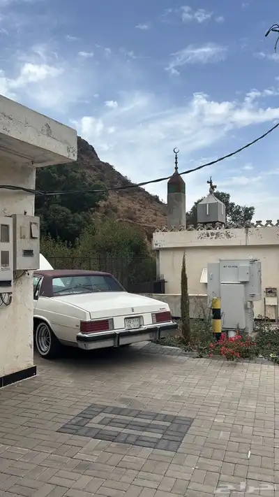 بيوك مجدد index