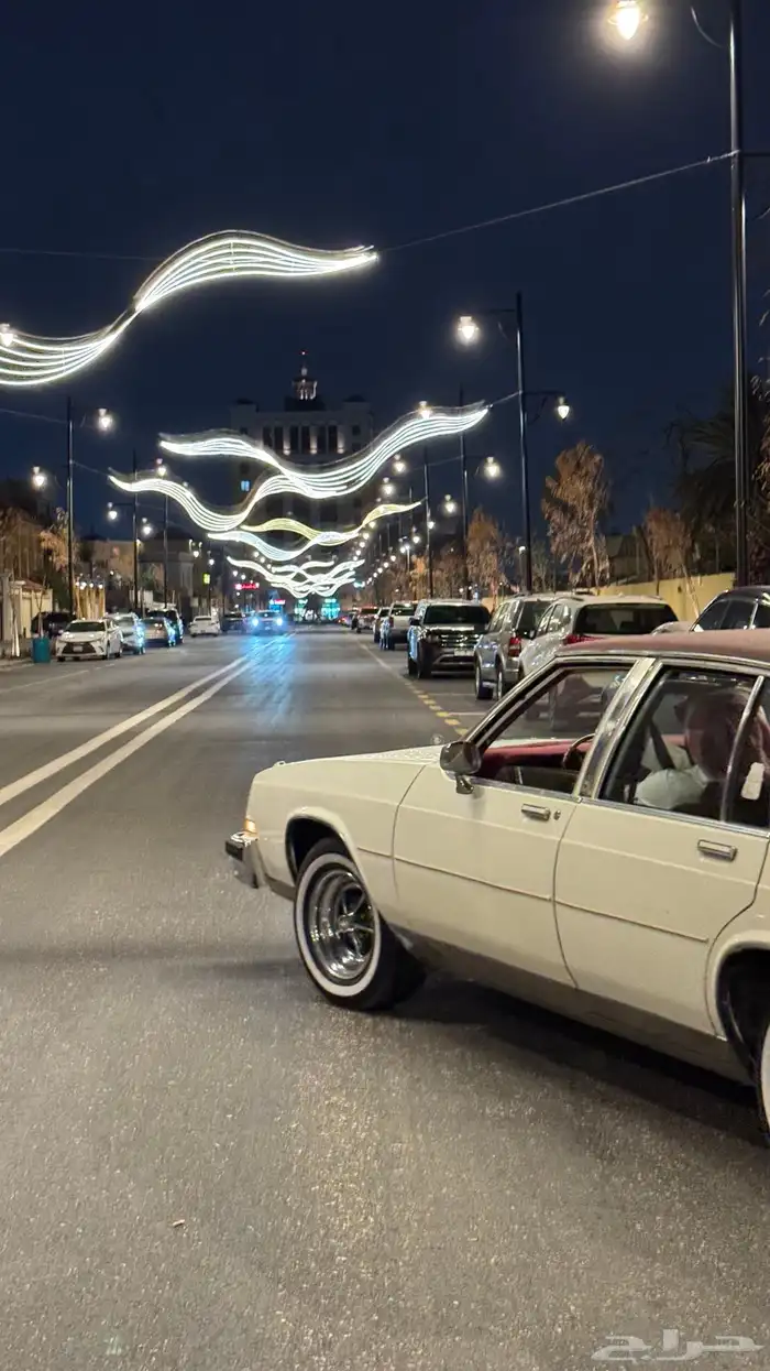 بيوك مجدد 35