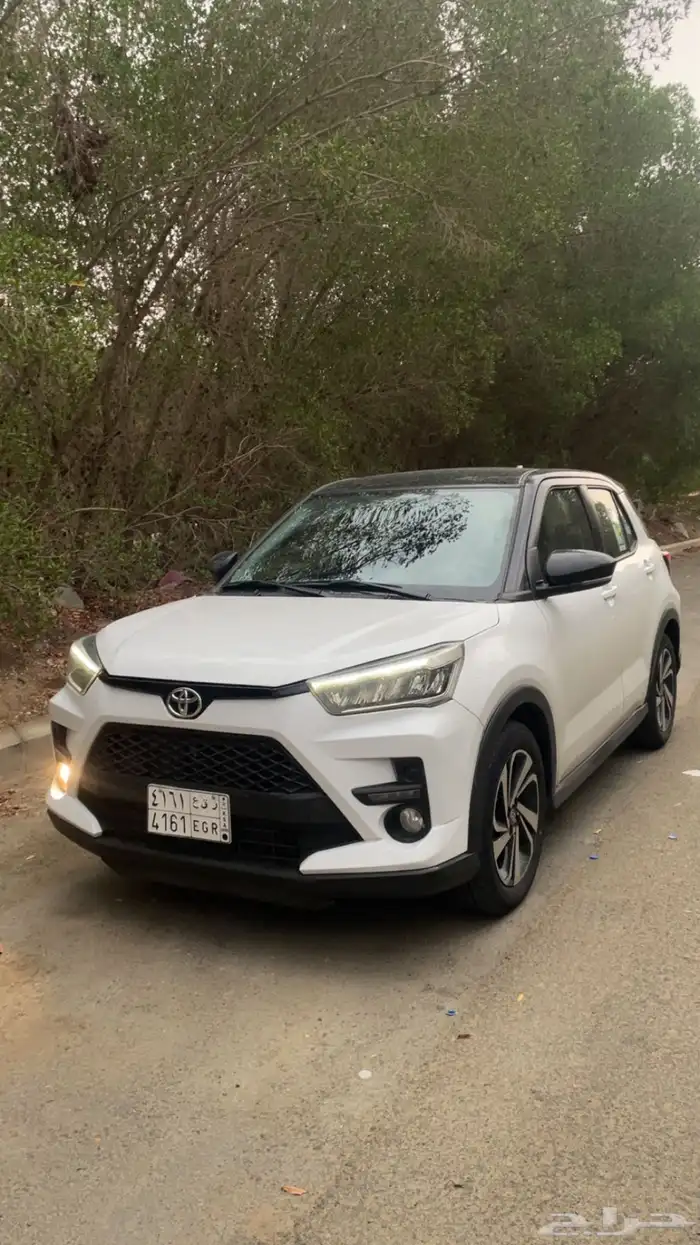 رايز 2024 7