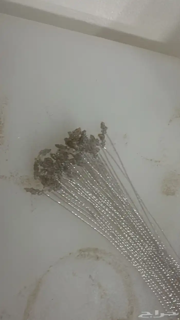 عيون الماني 1