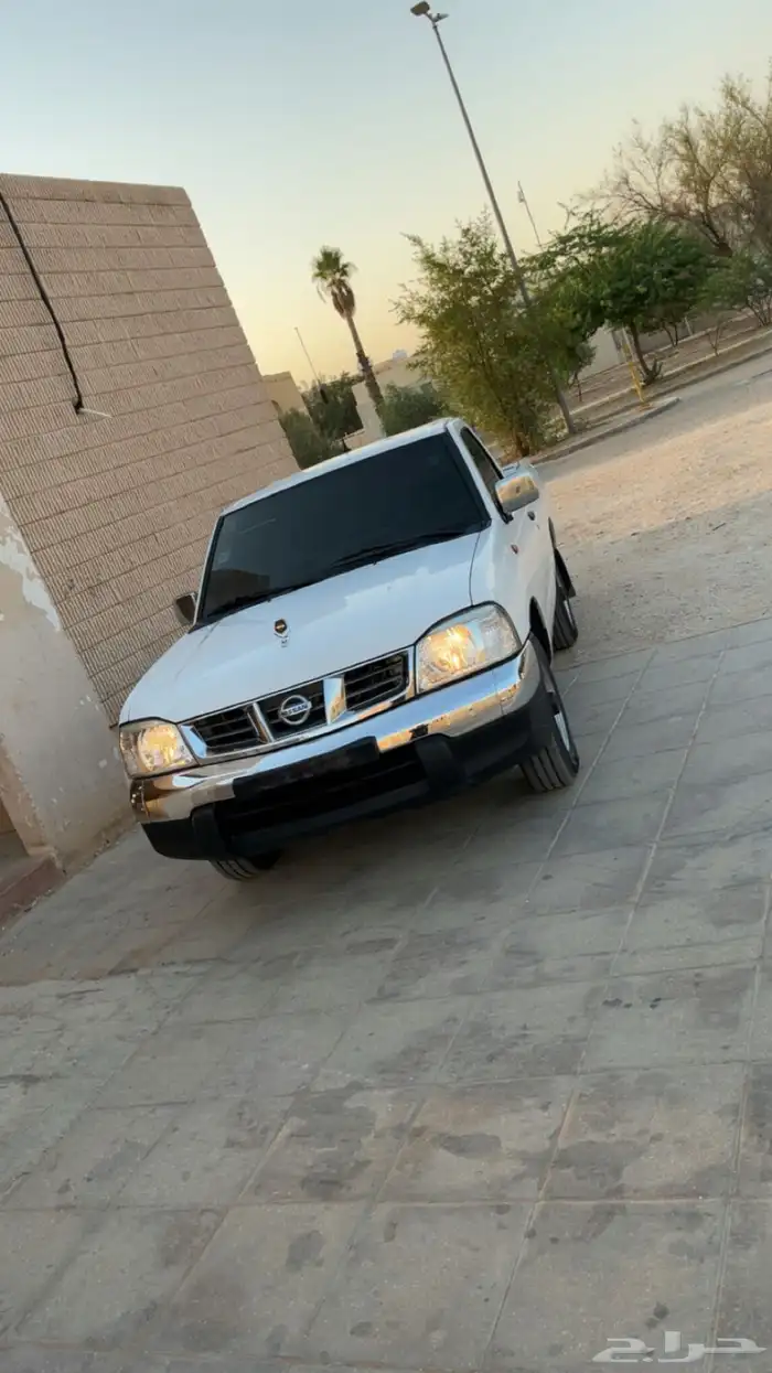 ددسن2009 18