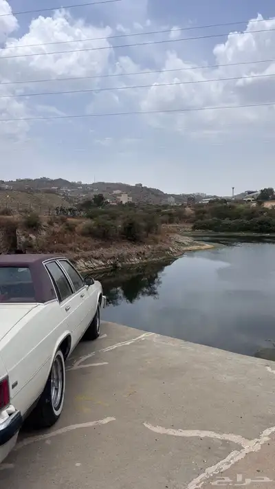 بيوك مجدد index