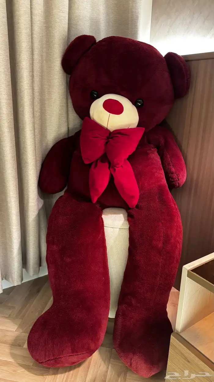 دبدوب زينه 8