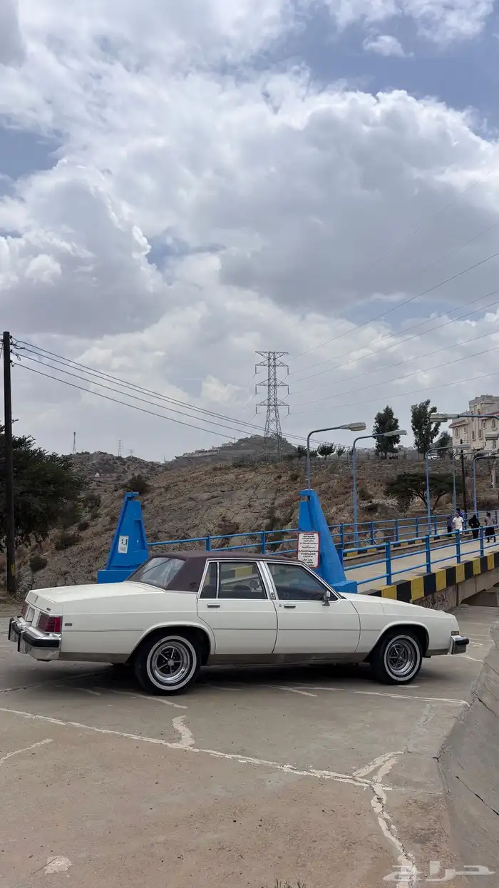 بيوك مجدد 0