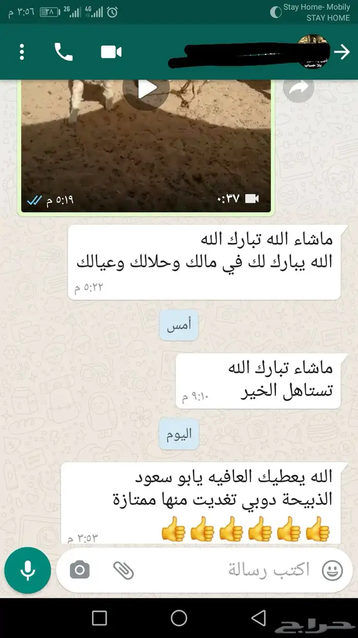 ذبائح ثلاجة - حري - سواكني لحد بيتك 49