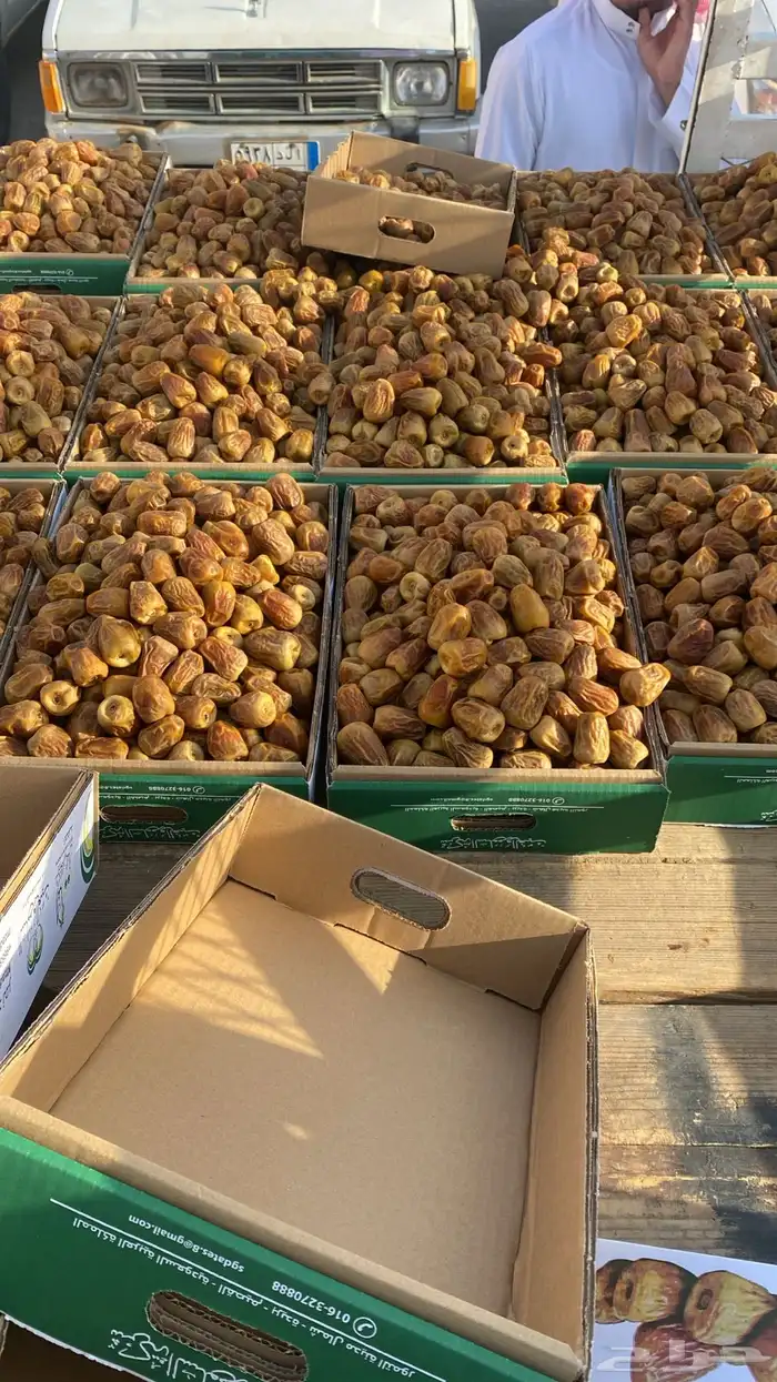 سكري مفتل 3