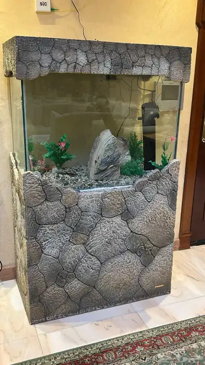 حوض اسماك 0