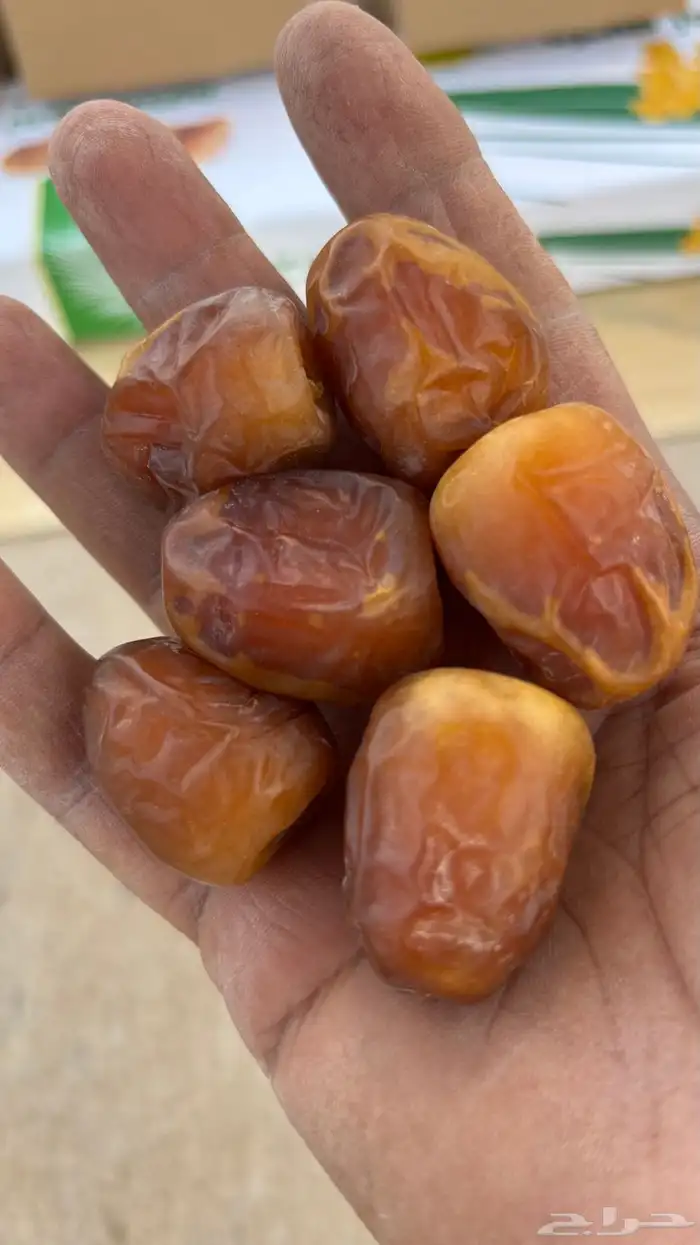 جالكسي حبة وسط بدون كيماويات 1