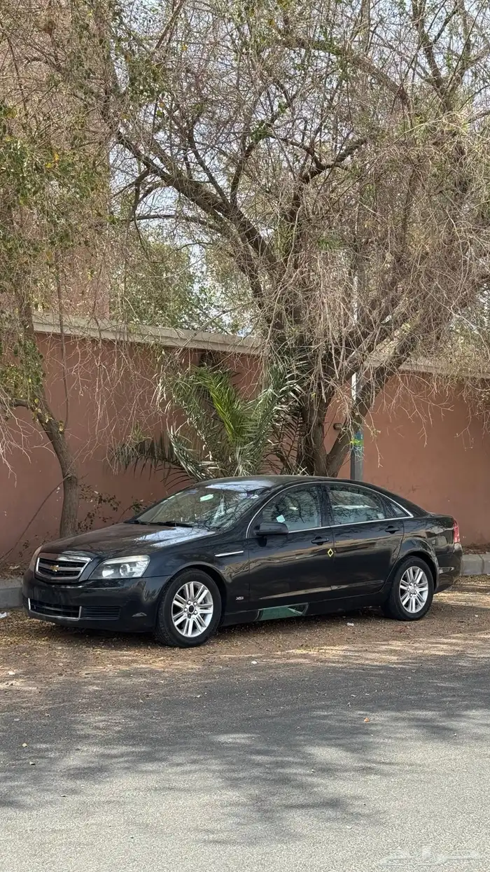 كابرس ls 2013 6