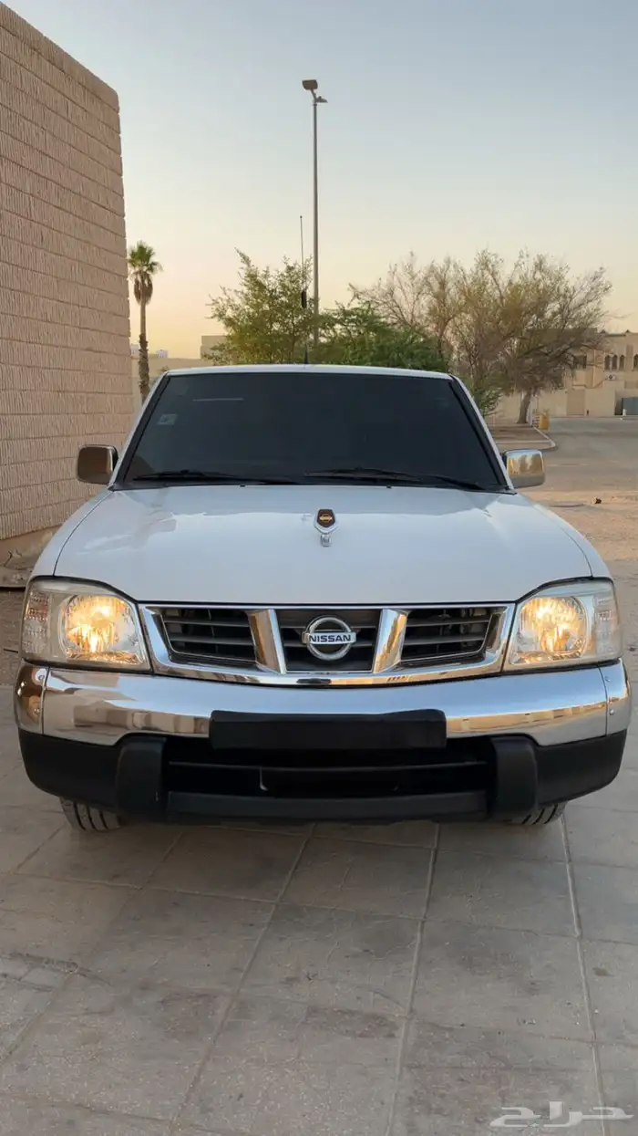 ددسن2009 16