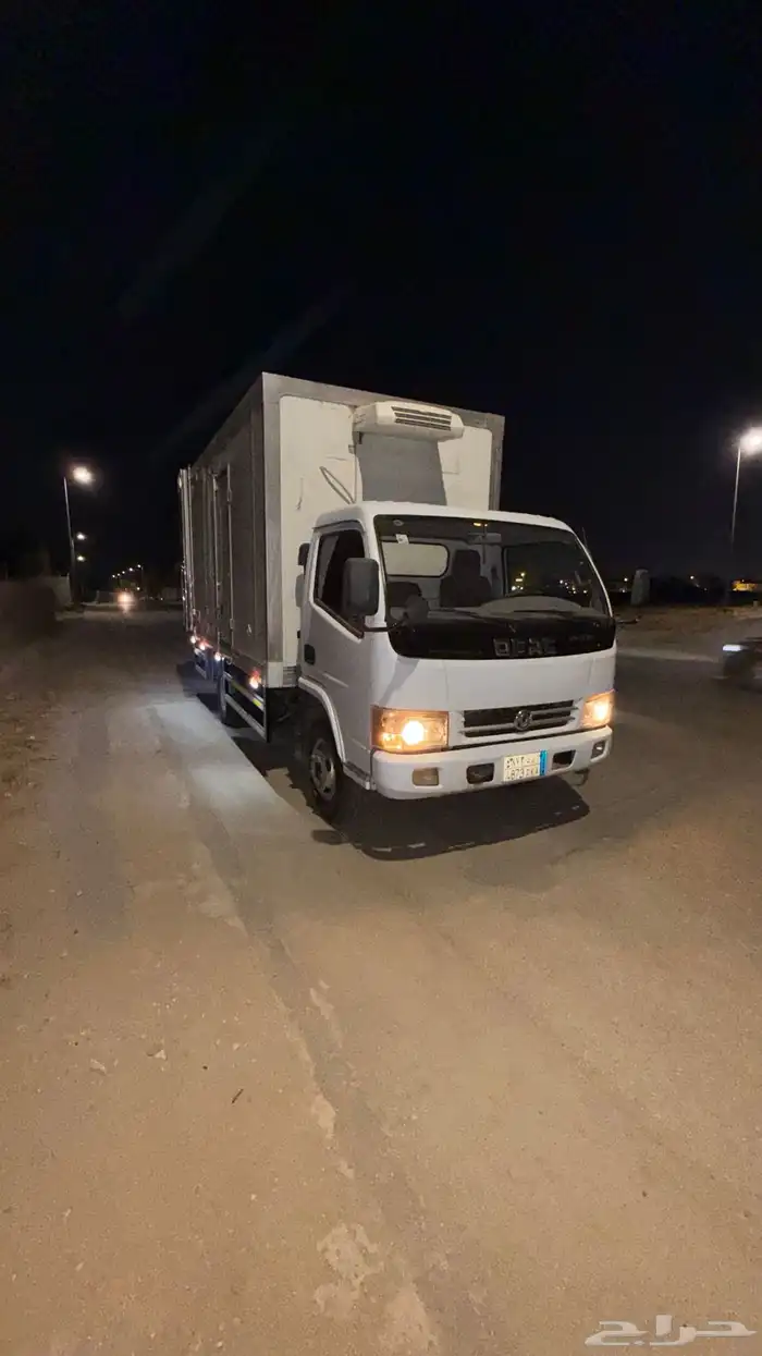 دنا دونغ فينج 1