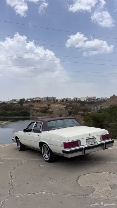 بيوك مجدد index